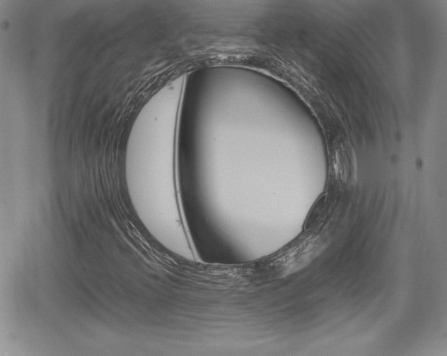 X0000062171396200512091039