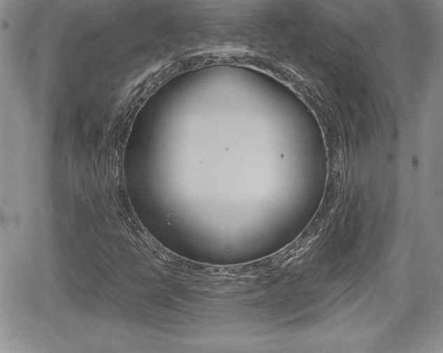X0000062171398200512091039