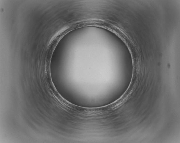 X0000062171402200512091039