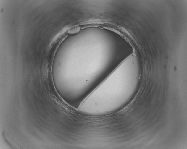 X0000062171406200512091039