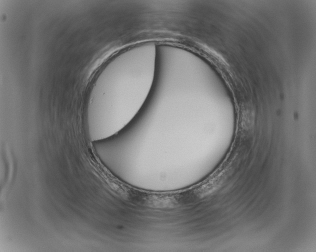 X0000062171407200512091039