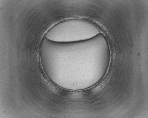 X0000062171409200512091039