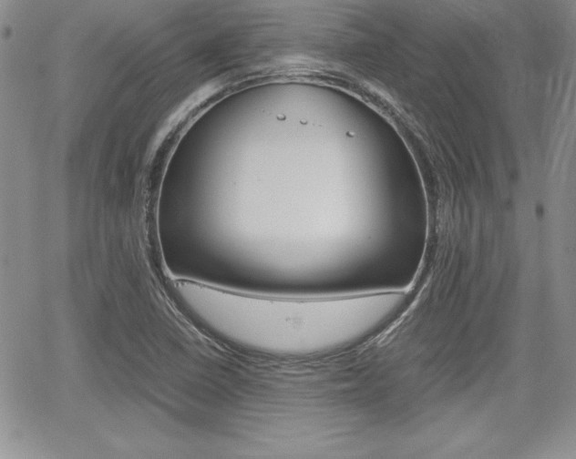 X0000062171410200512091039