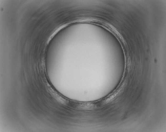 X0000062171417200512091039