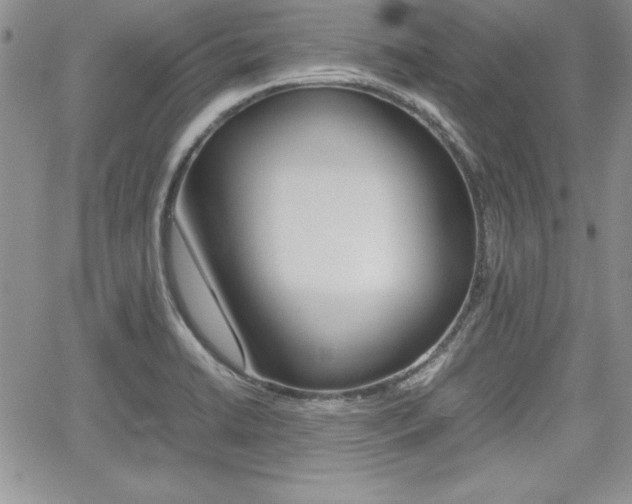 X0000062171422200512091040