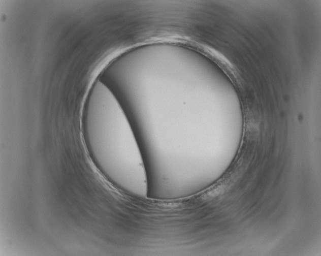 X0000062171423200512091040