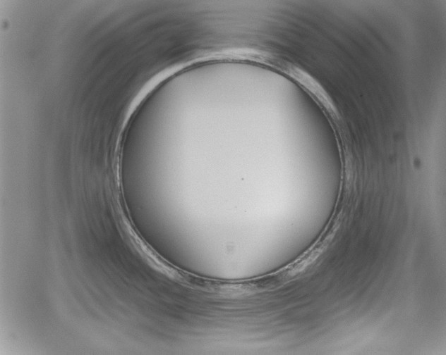 X0000062171436200512091040