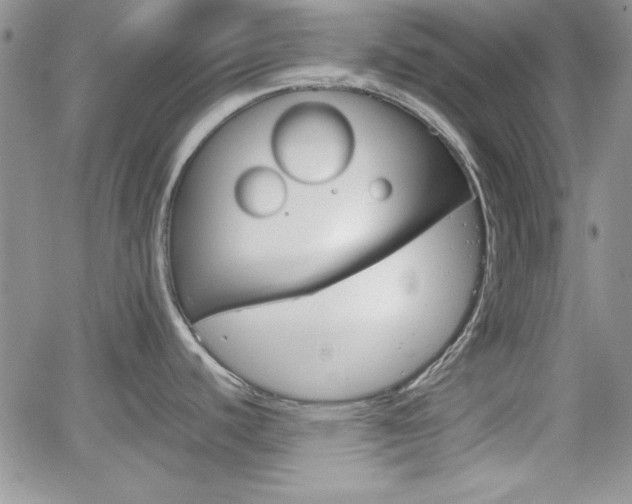 X0000062171440200512091040