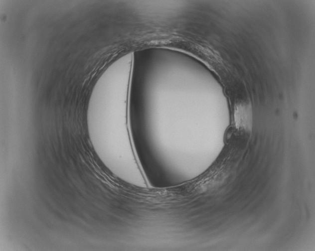 X0000062171444200512091039