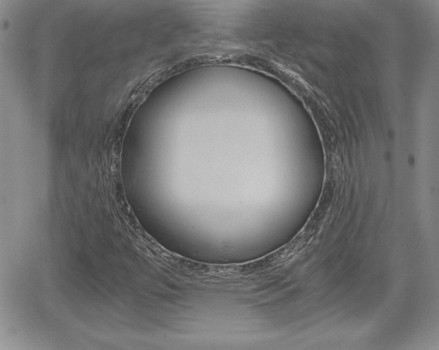 X0000062171447200512091039