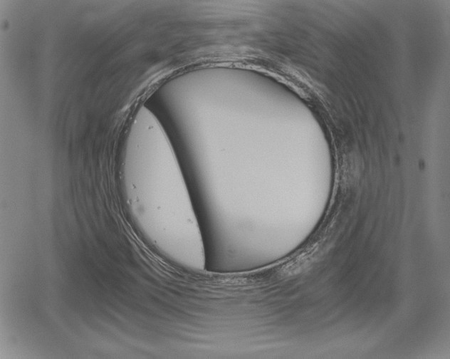 X0000062171451200512091039
