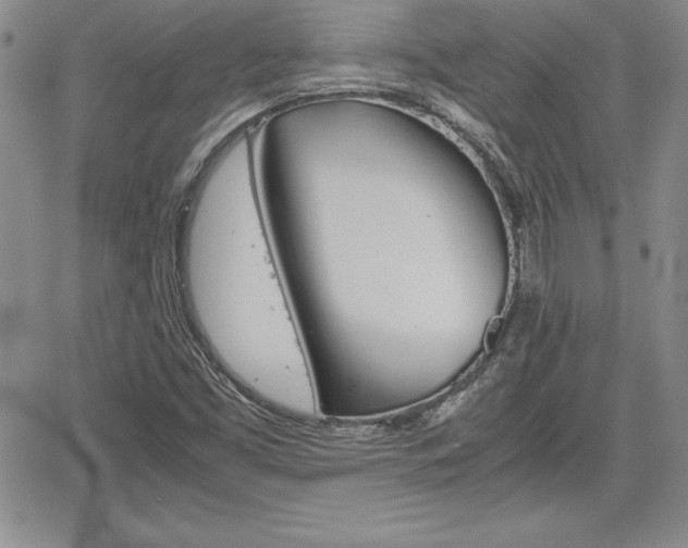 X0000062171453200512091039