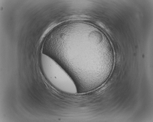 X0000062171459200512091039