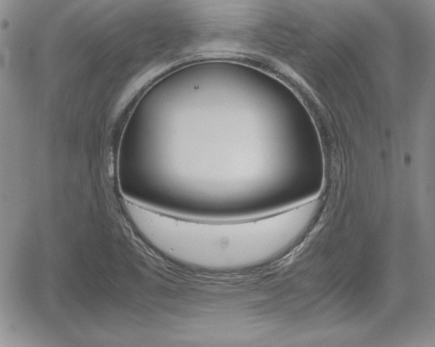 X0000062171461200512091039