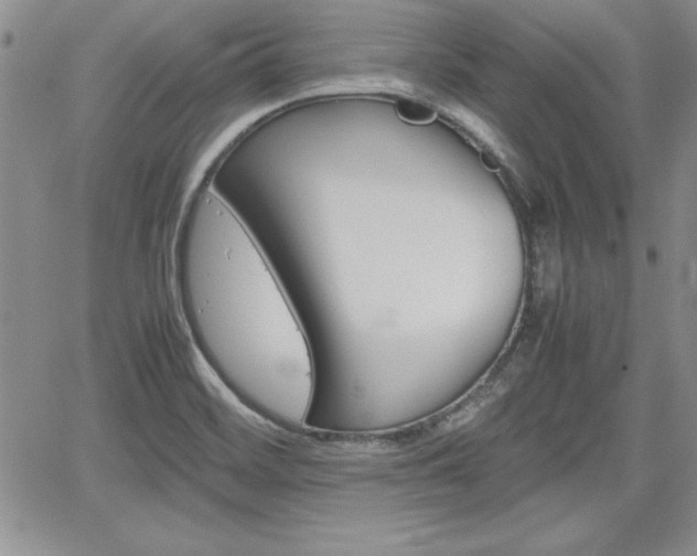 X0000062171468200512091039