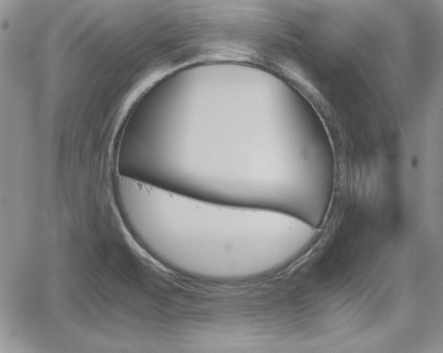 X0000062171471200512091039