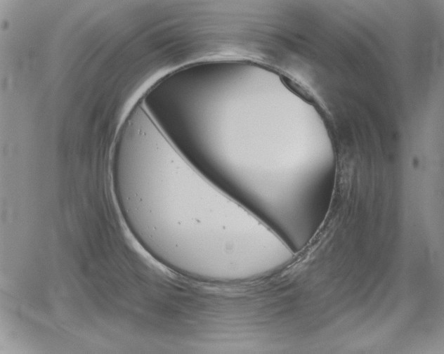 X0000062171476200512091038