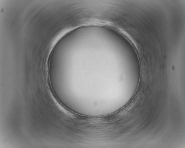 X0000062171479200512091038