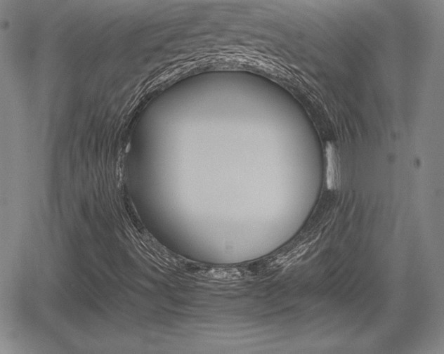 X0000062171491200512091037