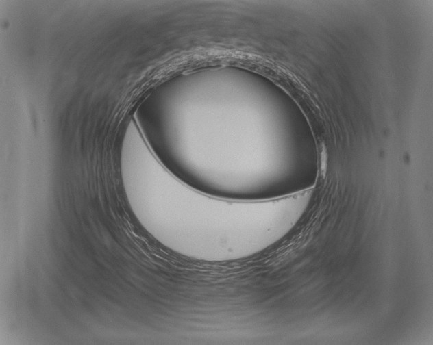 X0000062171492200512091038