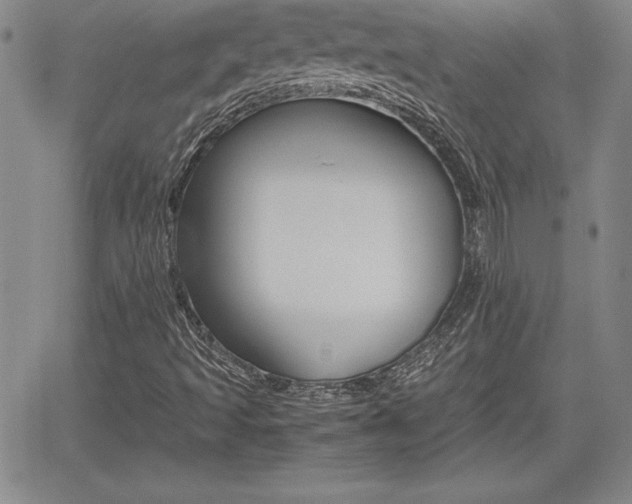 X0000062171493200512091038