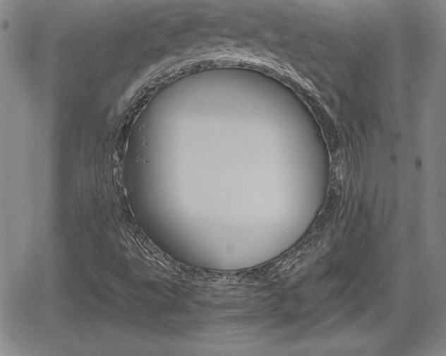 X0000062171495200512091038