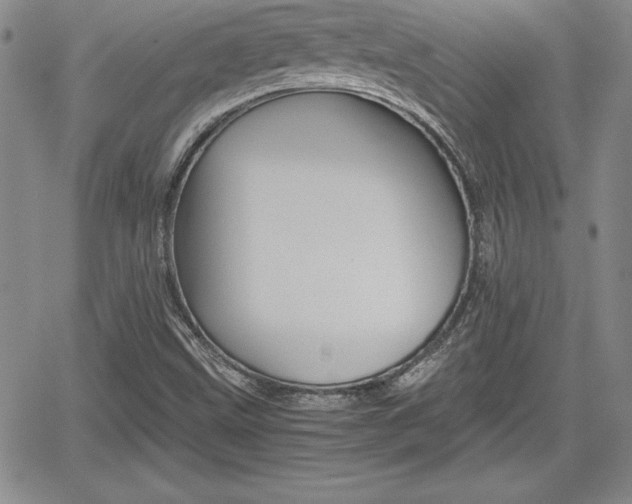 X0000062171499200512091038