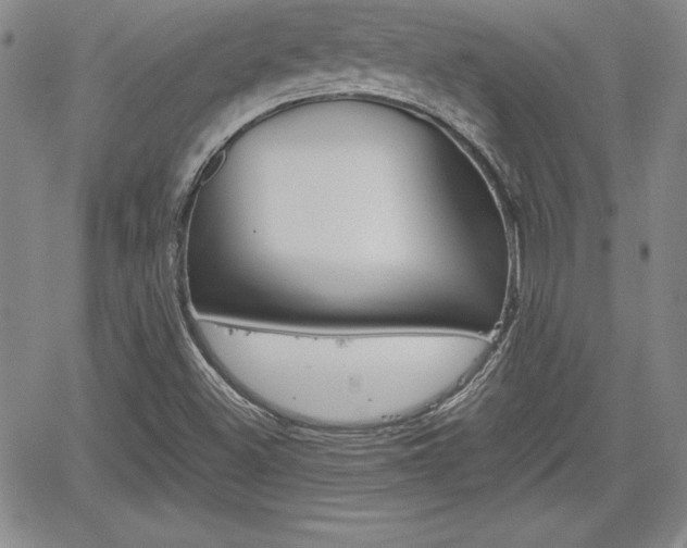 X0000062171500200512091038