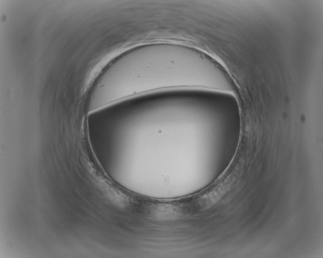 X0000062171507200512091038