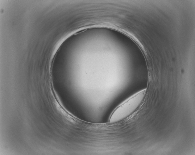 X0000062171532200512091038
