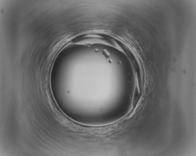 X0000062170001200512091442