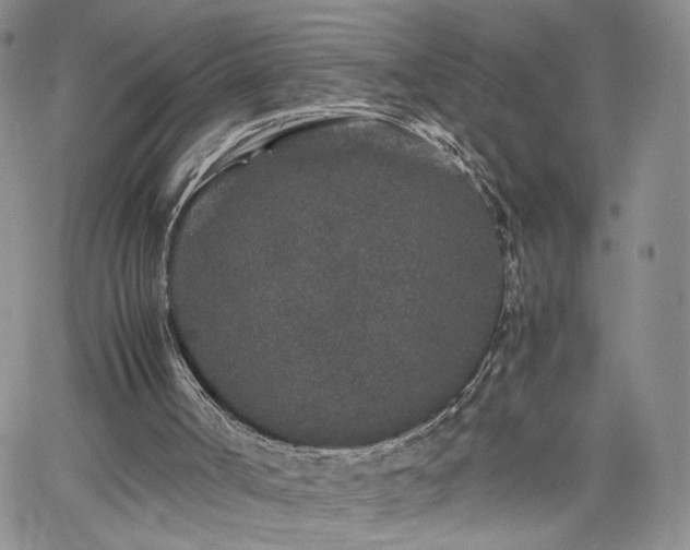 X0000062170002200512091442