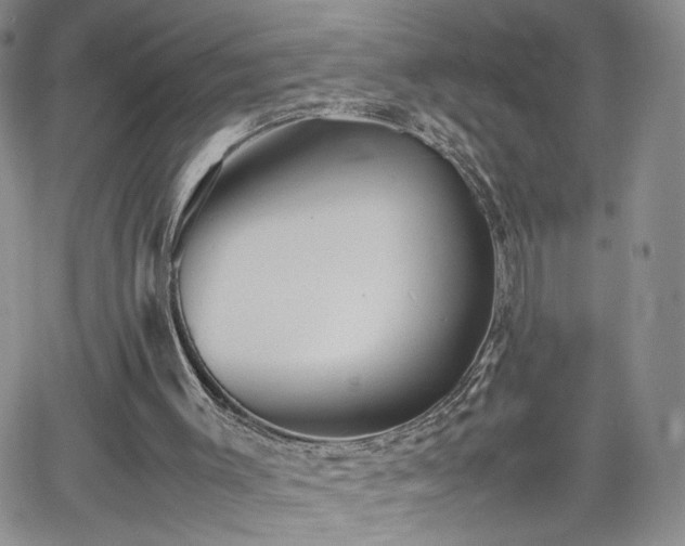 X0000062170003200512091442