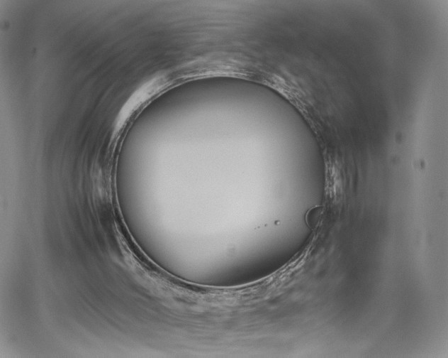 X0000062170004200512091442