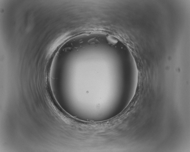 X0000062170005200512091442