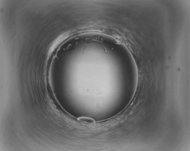 X0000062170006200512091442