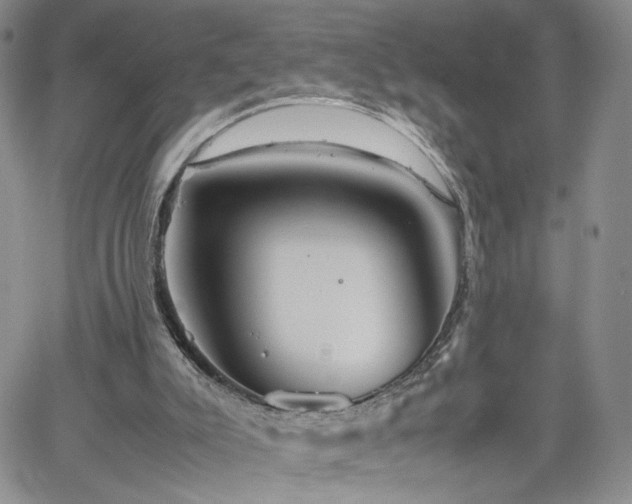 X0000062170007200512091442