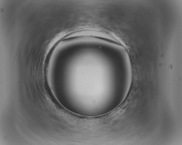 X0000062170008200512091442