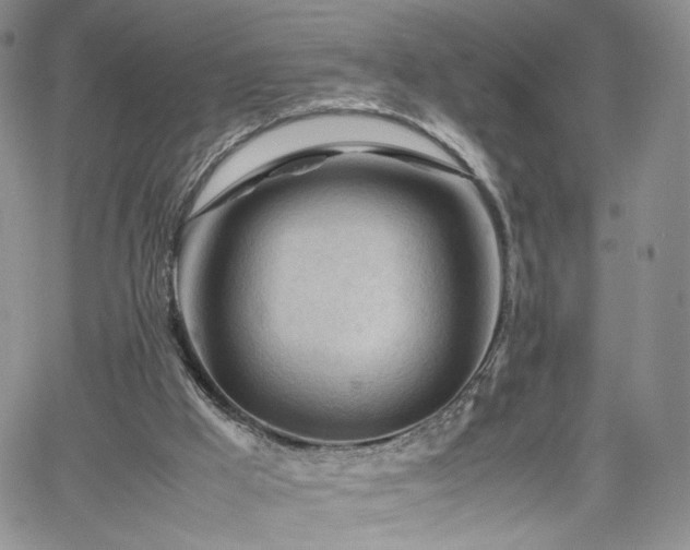 X0000062170009200512091442