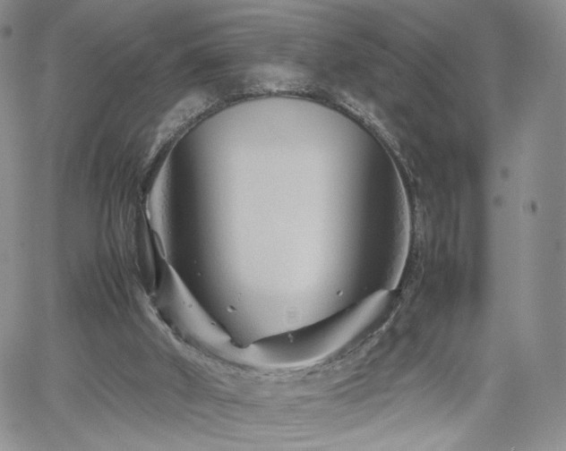 X0000062170010200512091442