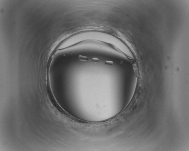 X0000062170011200512091442