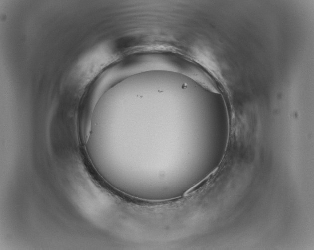 X0000062170013200512091442