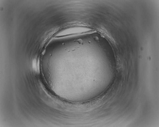 X0000062170014200512091442