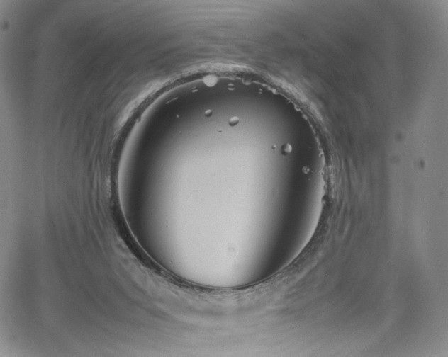 X0000062170015200512091442