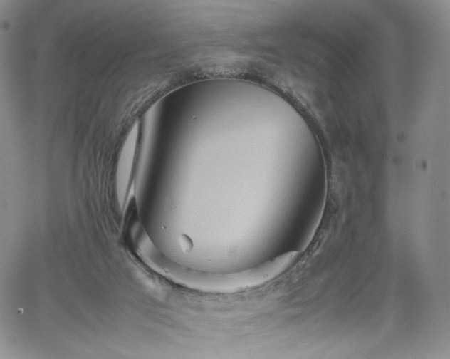 X0000062170017200512091442