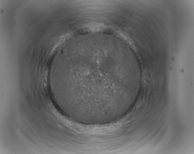 X0000062170018200512091442