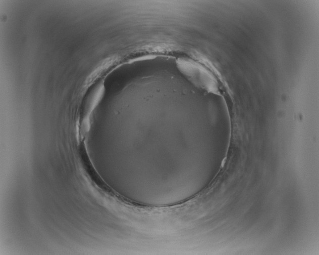 X0000062170019200512091442