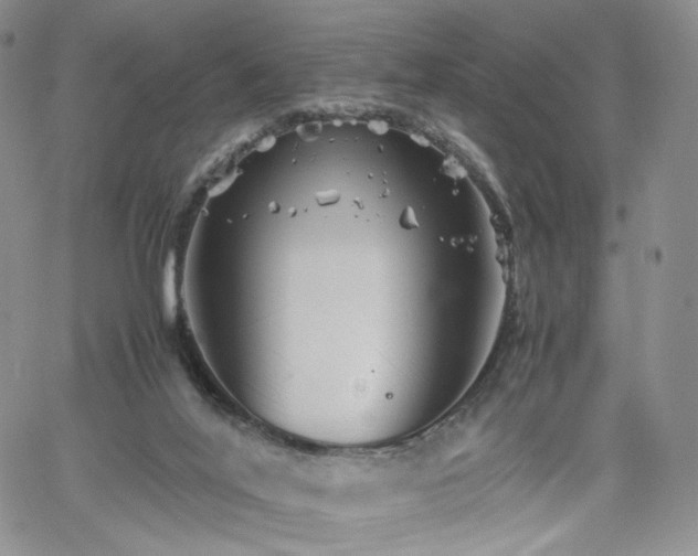 X0000062170020200512091442