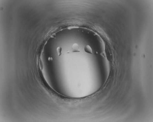 X0000062170021200512091442