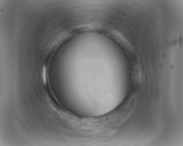 X0000062170022200512091442